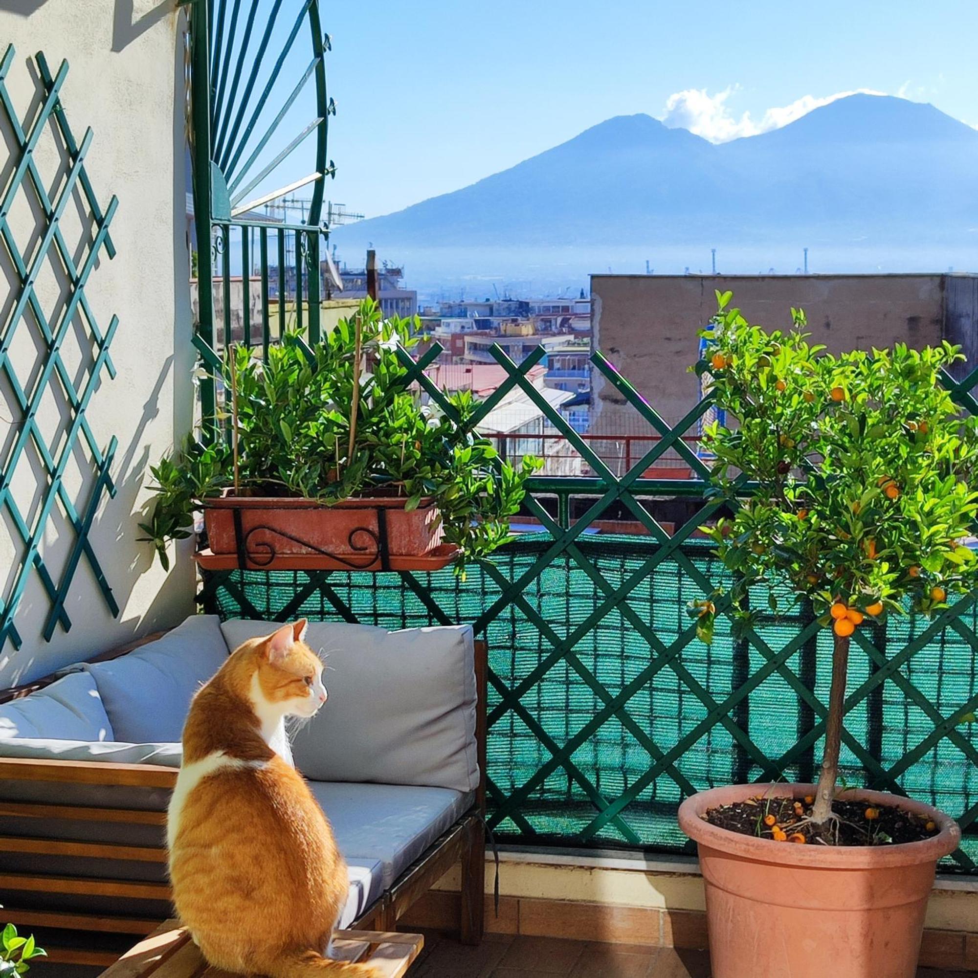 La Casa Blu Bed and Breakfast Νάπολη Εξωτερικό φωτογραφία